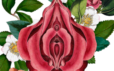 Feminine Embodiment Resources